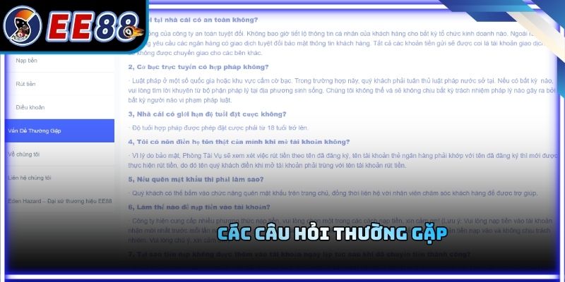 Các câu hỏi thường gặp