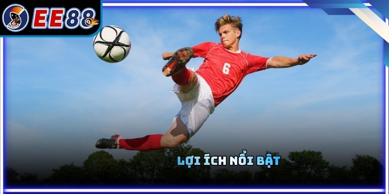 Lợi ích nổi bật