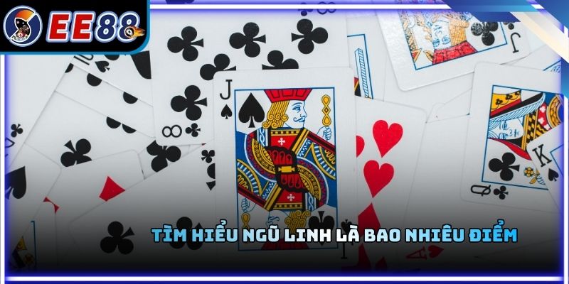 Tìm hiểu ngũ linh là bao nhiêu điểm