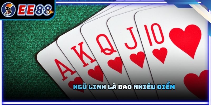 Ngũ Linh Là Bao Nhiêu Điểm - Cách Hiểu Đúng Để Không Đánh Sai