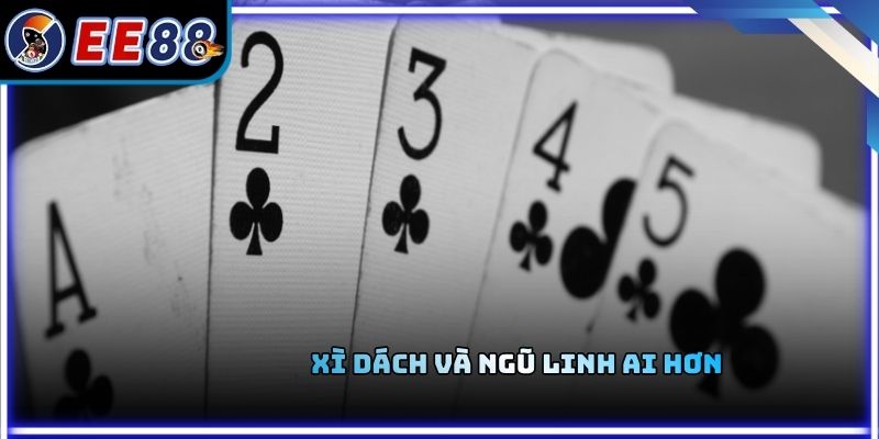 Xì Dách Và Ngũ Linh Ai Hơn - Cách Hiểu Đúng Để Không Thua Oan